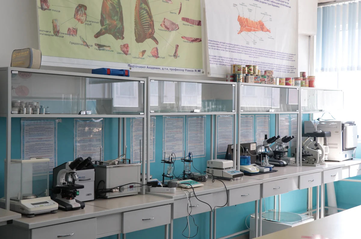 Almaty Technological University (ATU) photo 6