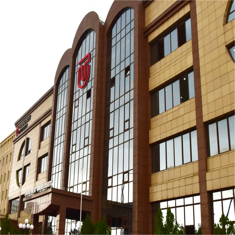 Tashenev University
