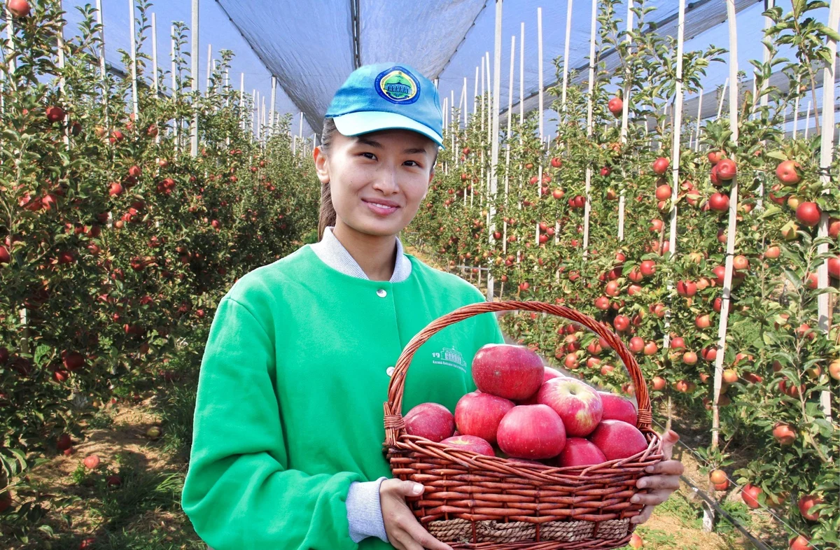Kazakh National Agrarian Research University photo 5