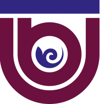 Baishev University logo
